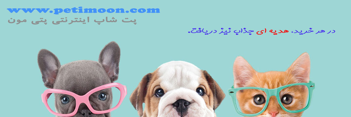 پتی مون