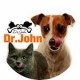 غذای خشک سگ دکتر ژان
