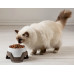 ظرف غذا خوری و آب خوری دو تیکه یک لیتری - مناسب برای سگ و گربه